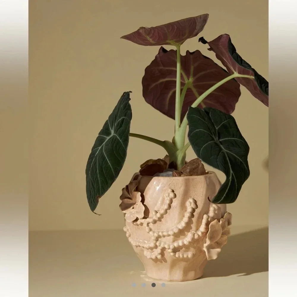 Anthropologie Corale textured jar candle sol tobac floral beige large 3D planter - Picture 7 of 7